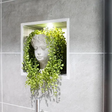 Springfield Four * Harrogate