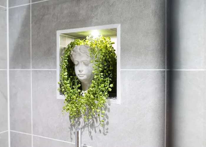 Springfield Four * Harrogate